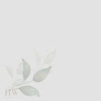 Digital Diary and Wellness Journal